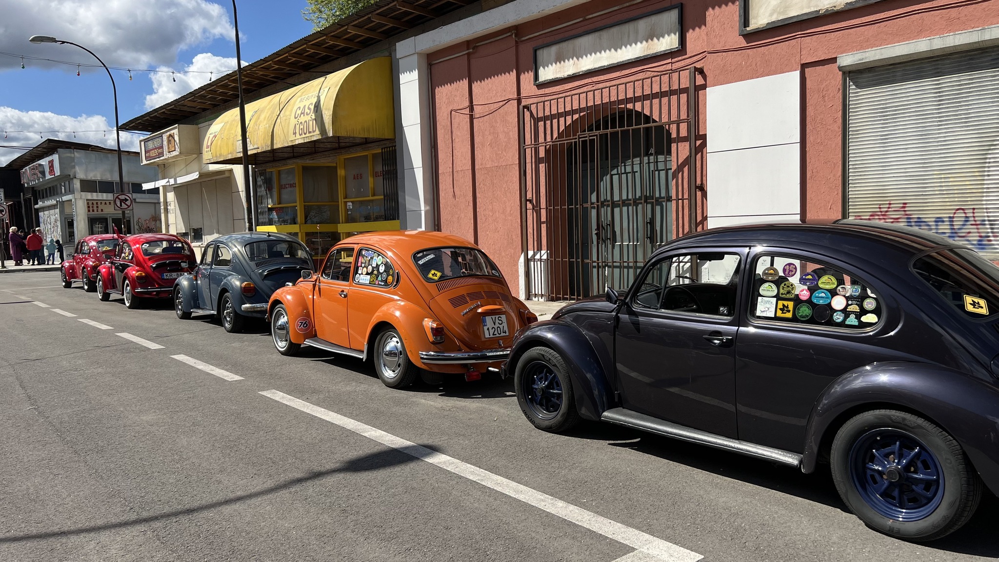 Annual beetle meeting Talsi ‘25